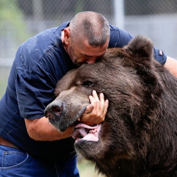 Welcome to the Robin's Nest - Picture 4 of 16